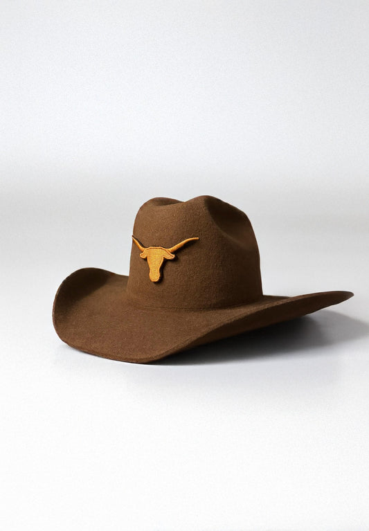 Cowboy Hat / Brown Longhorns