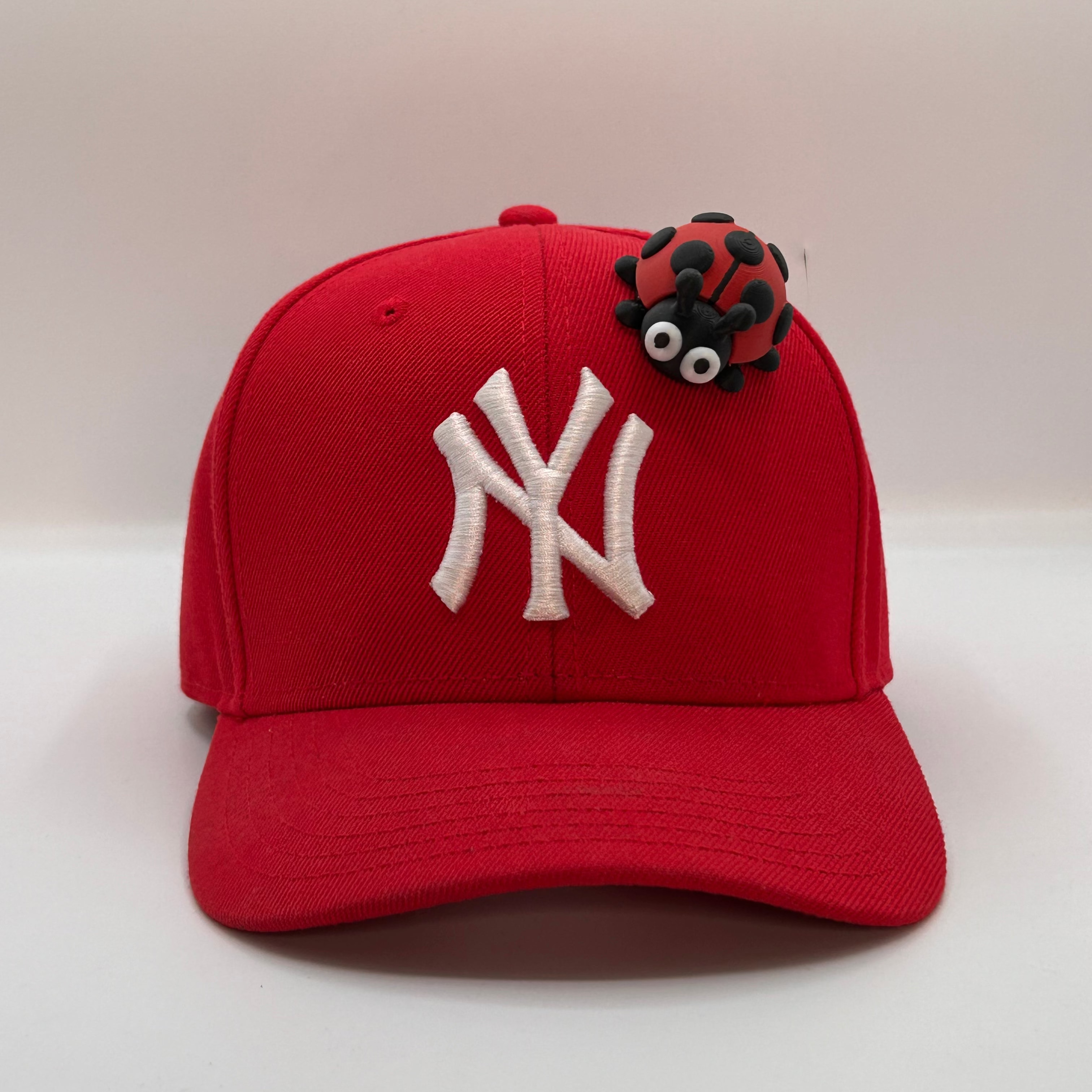 CAP PINS / LADY BUG