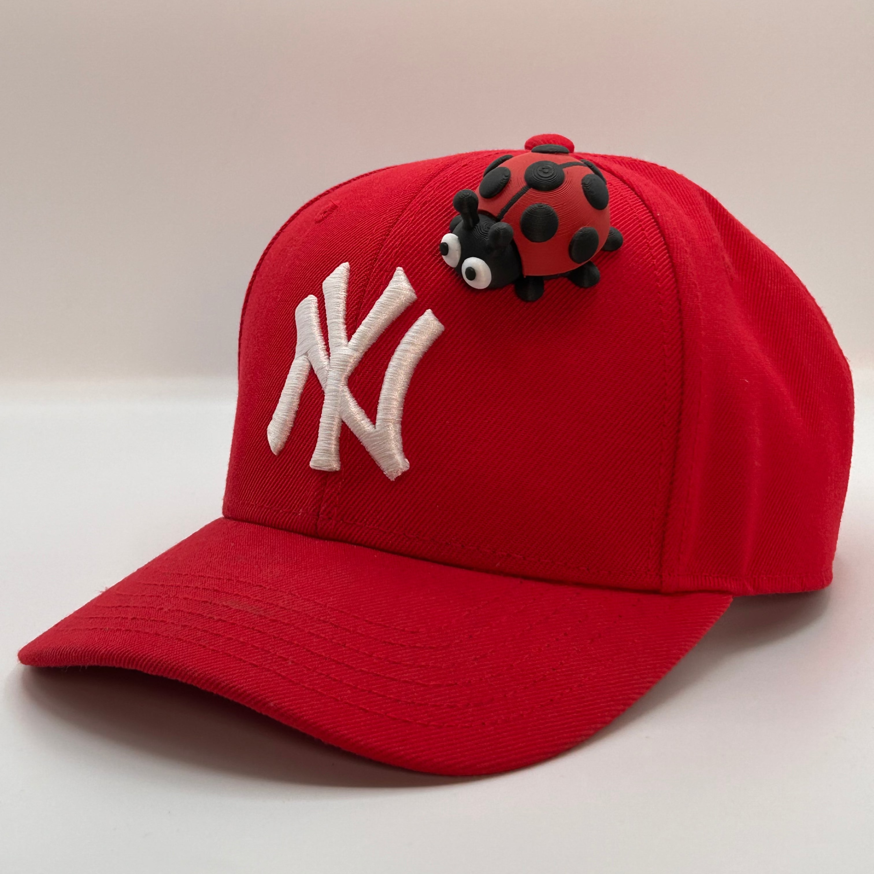 CAP PINS / LADY BUG