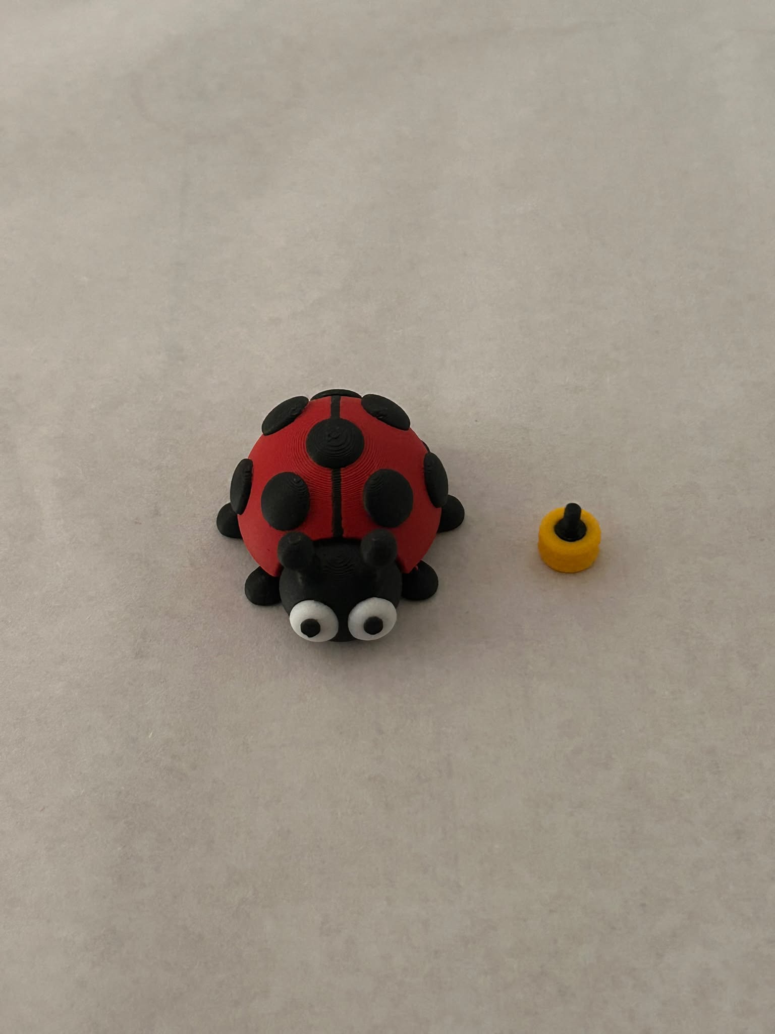CAP PINS / LADY BUG